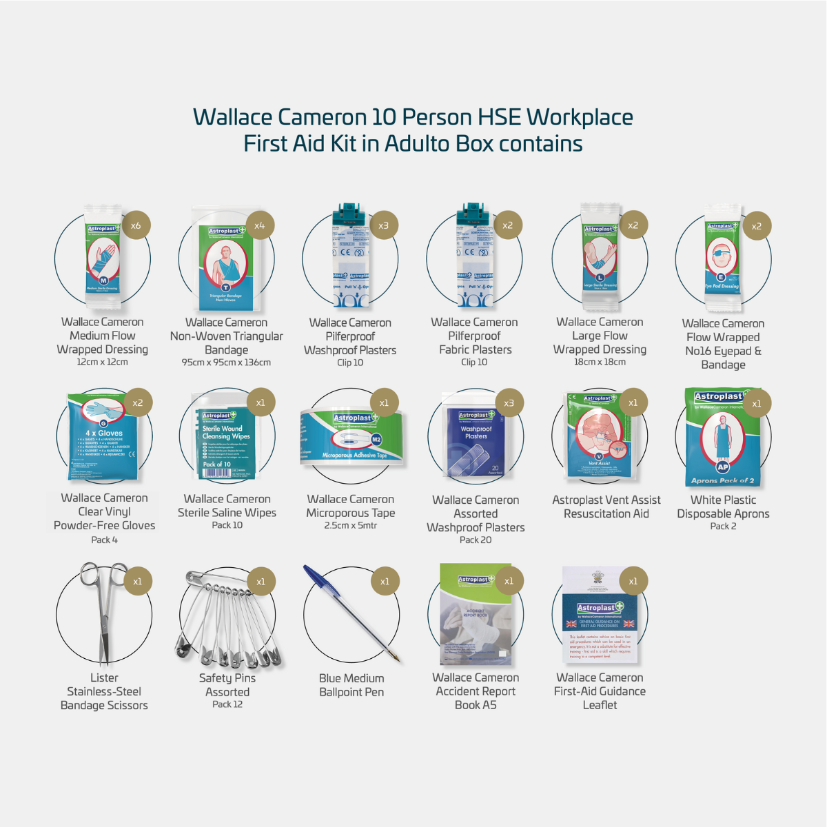 Wallace Cameron 10 Person HSE Workplace First Aid Kit in Adulto Box