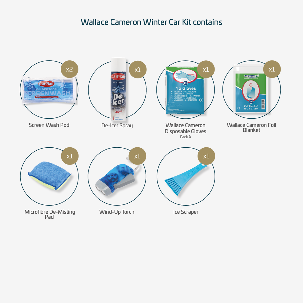 Wallace Cameron Winter Car Kit