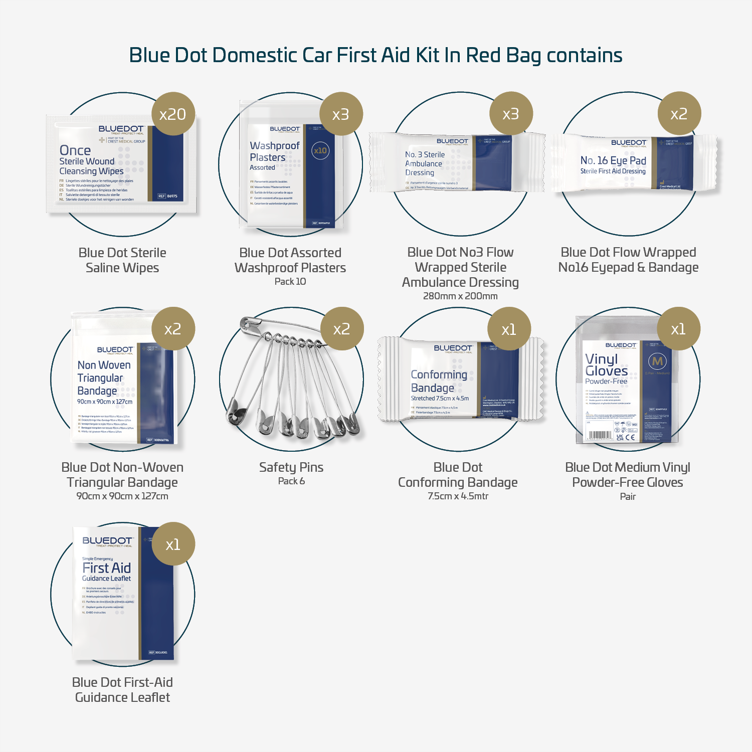 Blue Dot Small Motorist First Aid Kit in Red Bag