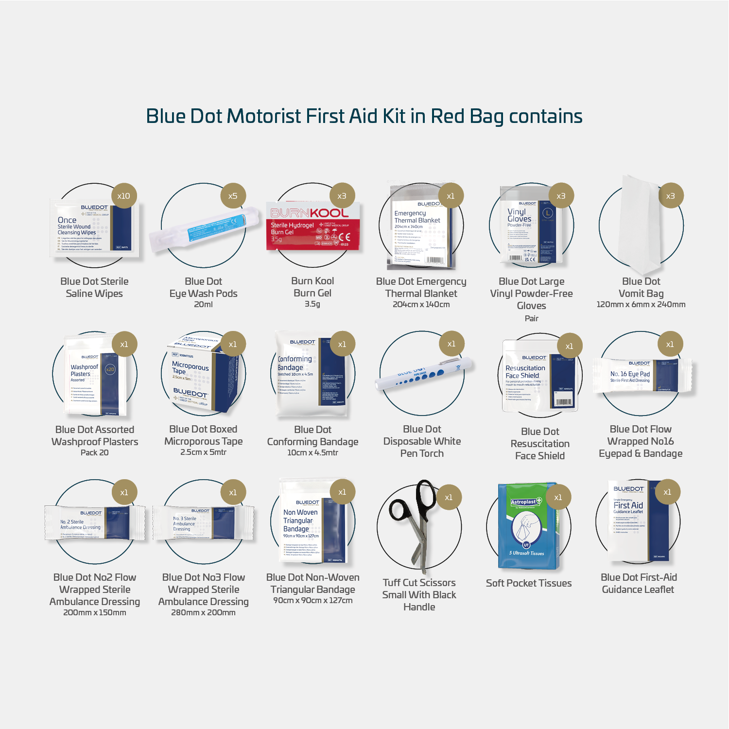 Blue Dot Large Motorist First Aid Kit in Red Bag