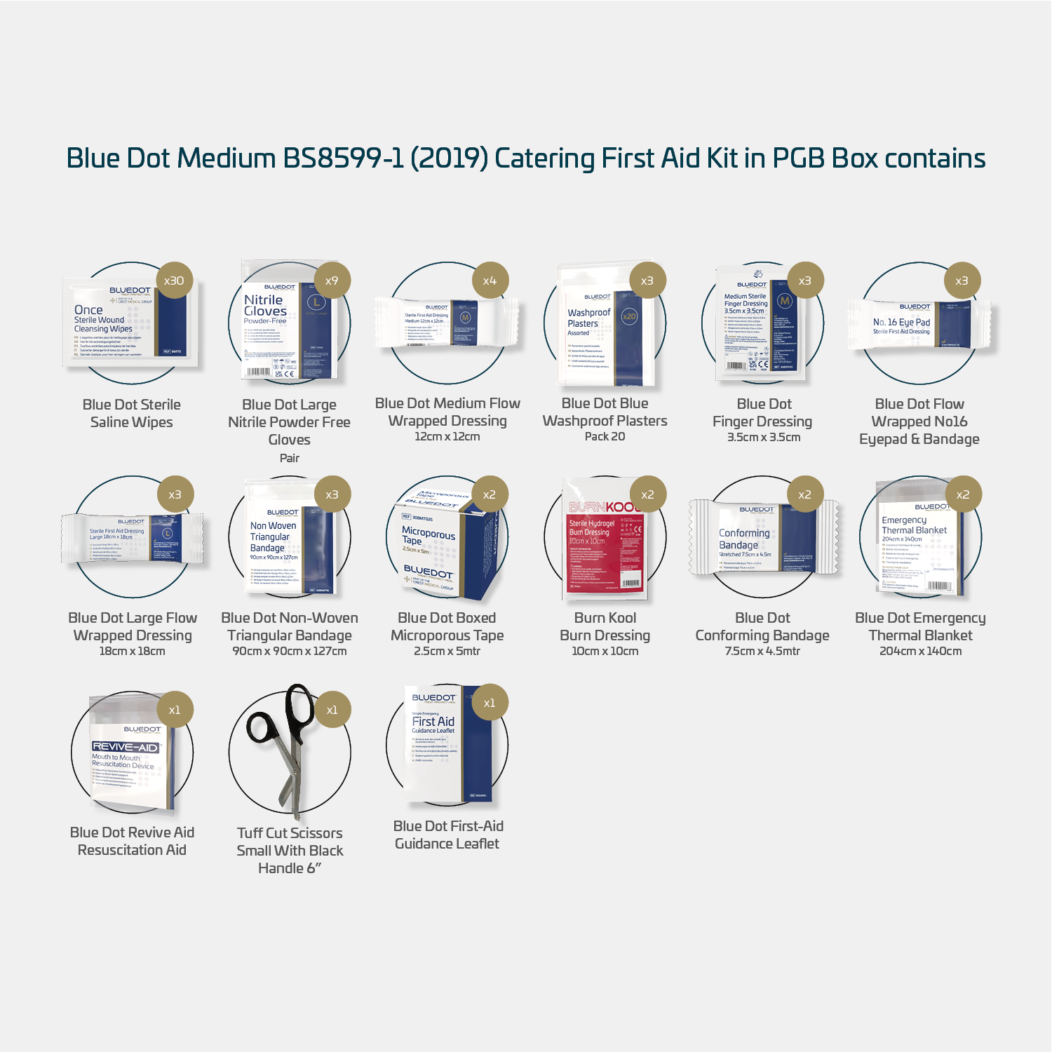 Blue Dot Medium BS 8599-1 (2019) Catering First Aid Kit in PGB Box